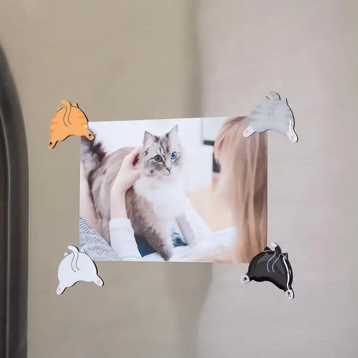 Cat Butt Magnets