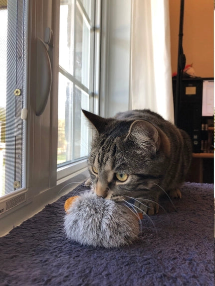 Gunner - Mouse Cat Toy