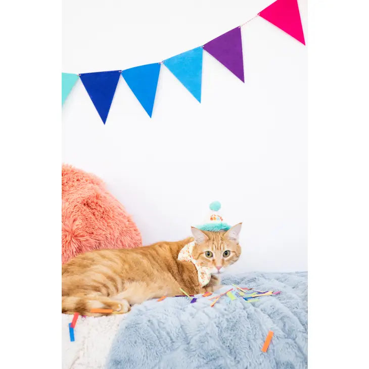 Happy "Purrday" Birthday Set