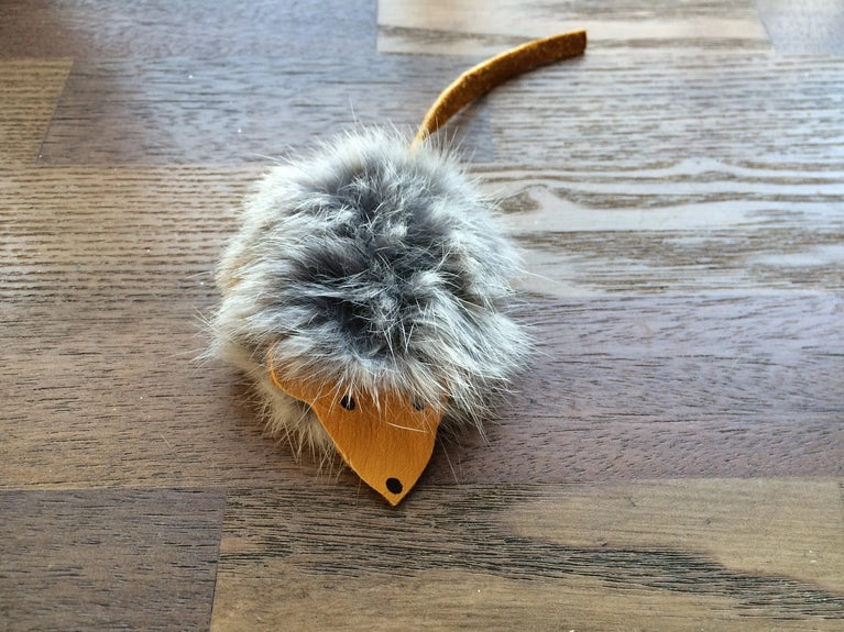 Harry - Furry Mouse